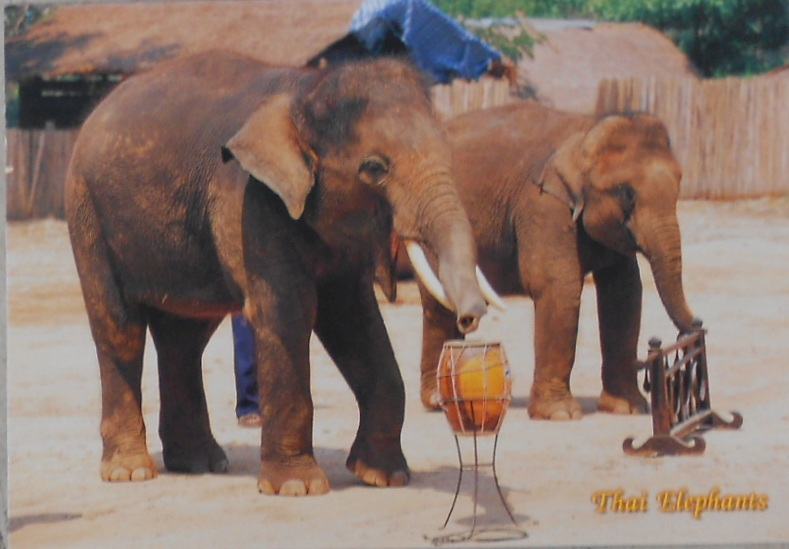 Cartes · Cartes postales Asie - Thaïlande
