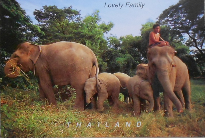 Cartes · Cartes postales Asie - Thaïlande