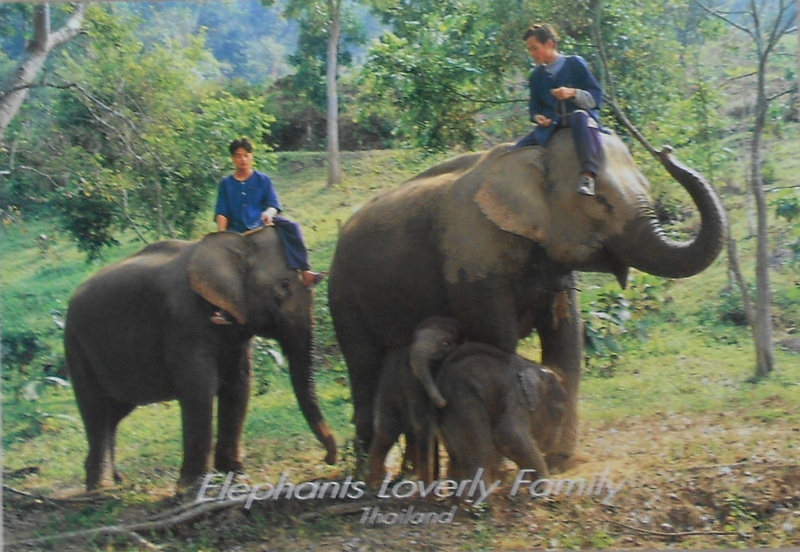 Cartes · Cartes postales Asie - Thaïlande