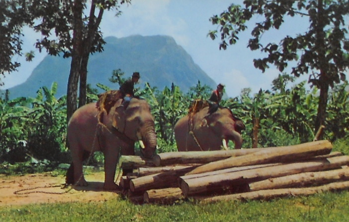 Cartes · Cartes postales Asie - Thaïlande
