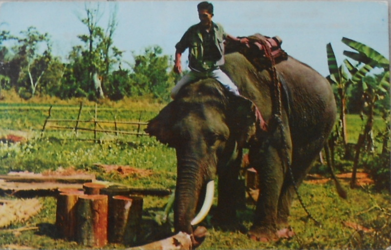 Cartes · Cartes postales Asie - Thaïlande