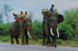 Cartes · Cartes postales Asie - Thaïlande