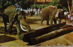 Cartes · Cartes postales Asie - Thaïlande