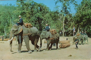 Cartes · Cartes postales Asie - Thaïlande