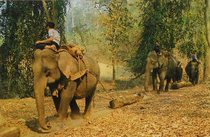 Cartes · Cartes postales Asie - Thaïlande