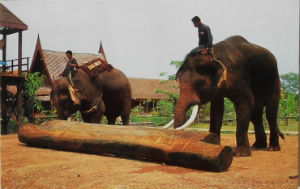 Cartes · Cartes postales Asie - Thaïlande