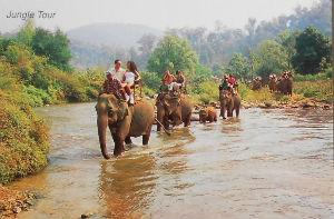 Cartes · Cartes postales Asie - Thaïlande