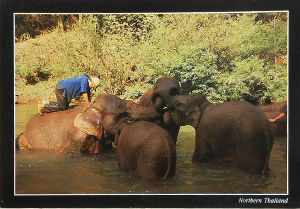 Cartes · Cartes postales Asie - Thaïlande