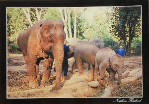 Cartes · Cartes postales Asie - Thaïlande