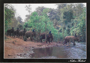 Cartes · Cartes postales Asie - Thaïlande