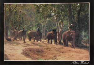 Cartes · Cartes postales Asie - Thaïlande