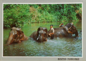 Cartes · Cartes postales Asie - Thaïlande