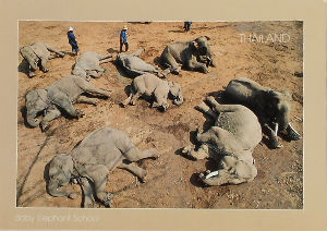 Cartes · Cartes postales Asie - Thaïlande