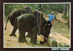 Cartes · Cartes postales Asie - Thaïlande