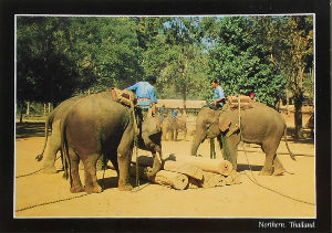 Cartes · Cartes postales Asie - Thaïlande
