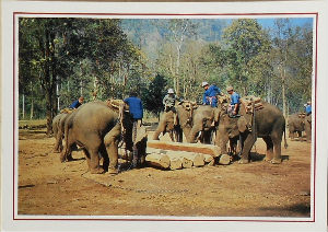 Cartes · Cartes postales Asie - Thaïlande