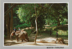 Cartes · Cartes postales Asie - Thaïlande