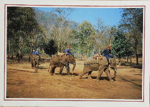 Cartes · Cartes postales Asie - Thaïlande
