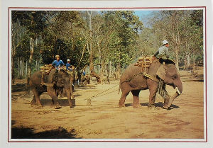 Cartes · Cartes postales Asie - Thaïlande