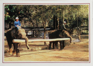 Cartes · Cartes postales Asie - Thaïlande