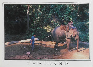 Cartes · Cartes postales Asie - Thaïlande