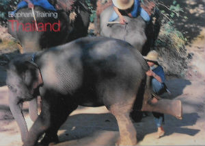Cartes · Cartes postales Asie - Thaïlande