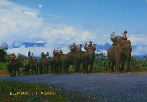 Cartes · Cartes postales Asie - Thaïlande