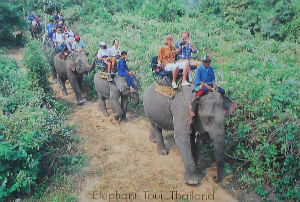 Cartes · Cartes postales Asie - Thaïlande