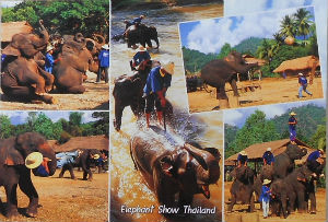 Cartes · Cartes postales Asie - Thaïlande