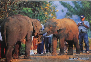 Cartes · Cartes postales Asie - Thaïlande