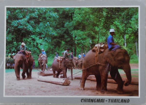 Cartes · Cartes postales Asie - Thaïlande
