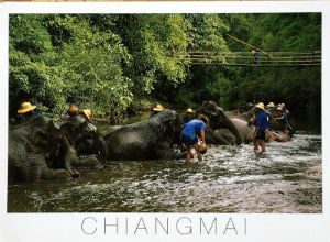 Cartes · Cartes postales Asie - Thaïlande