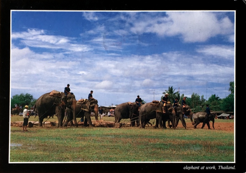 Cartes · Cartes postales Asie - Thaïlande