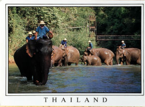 Cartes · Cartes postales Asie - Thaïlande