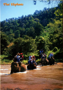 Cartes · Cartes postales Asie - Thaïlande