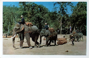 Cartes · Cartes postales Asie - Thaïlande