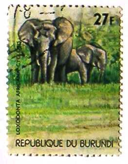 Timbres