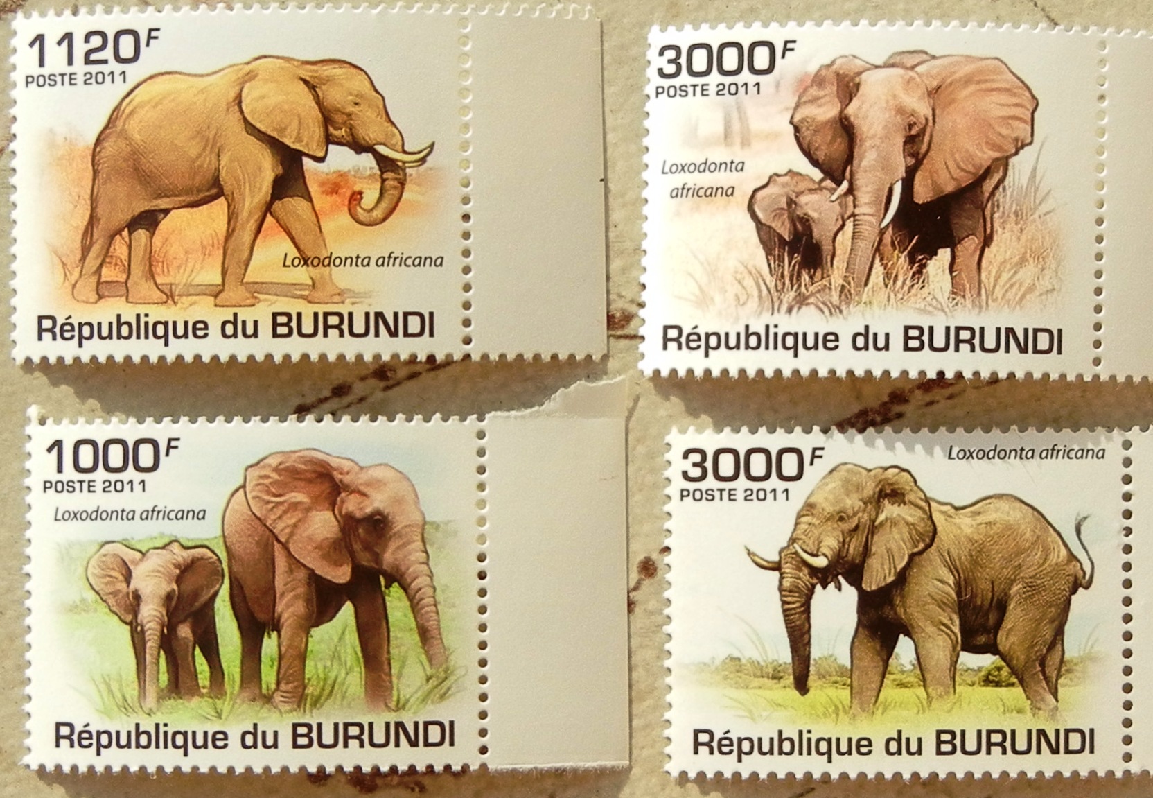 Timbres