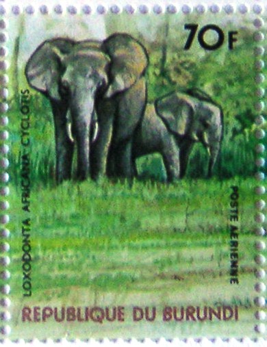 Timbres