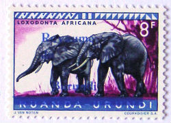 Timbres