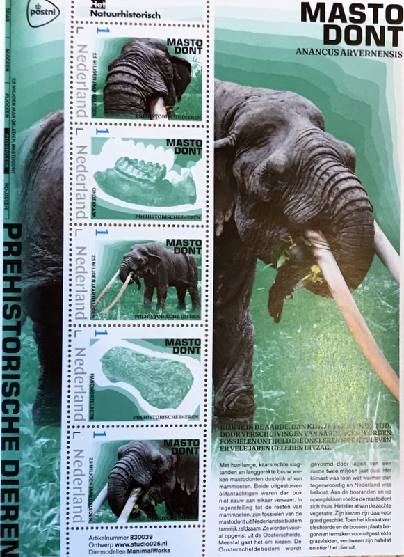 Timbres