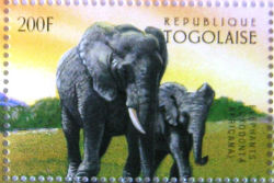 Timbres · Togo