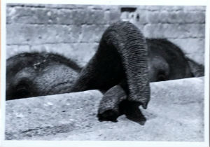 Cartes · Cartes postales Asie