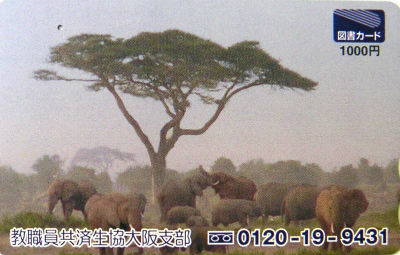 Cartes · Japon - Tosho