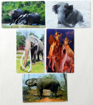 Cartes · Tot