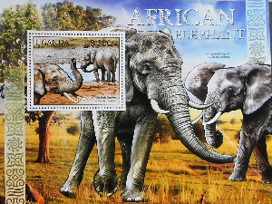 Timbres · Uganda