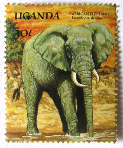 Timbres · Uganda