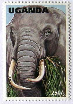 Timbres · Uganda
