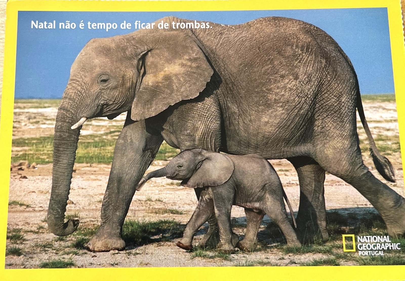 Cartes · Afrique