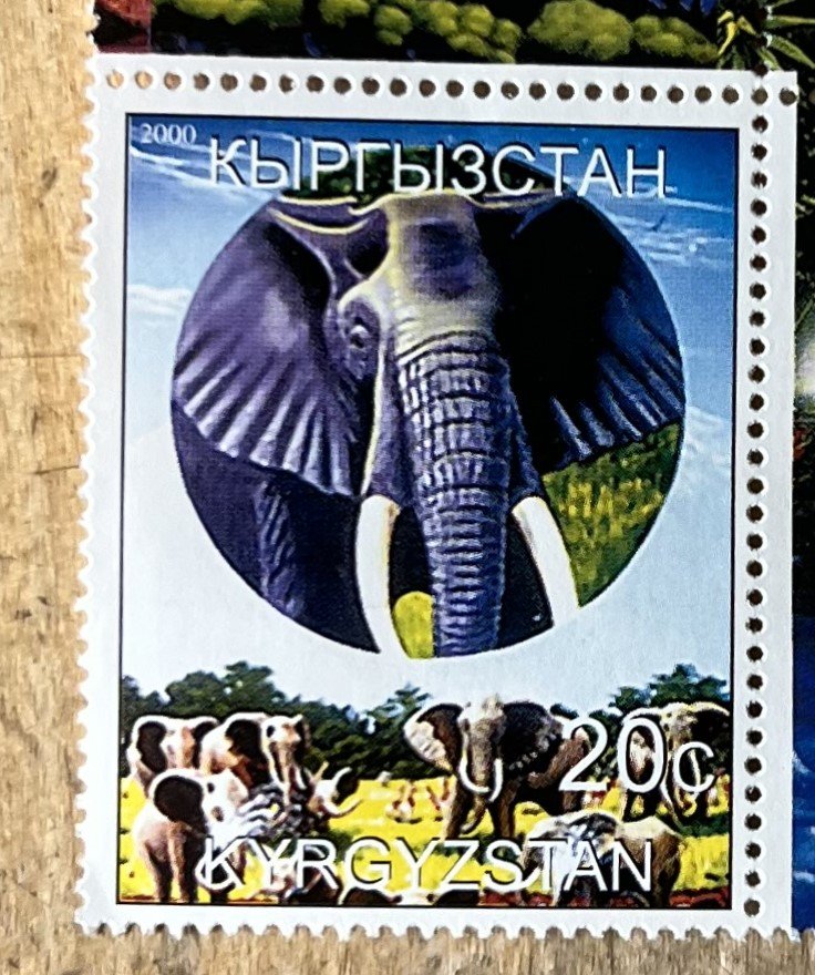 Timbres · SOMALIA (Italie) - Somalie